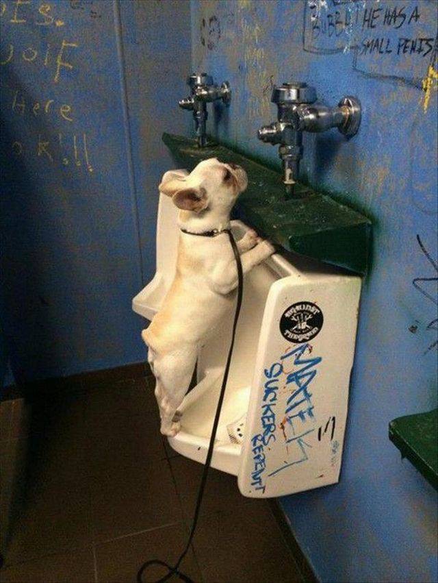 morning picdump 56 pics 18.html - 56 HD Photos | Premium Gallery 2017