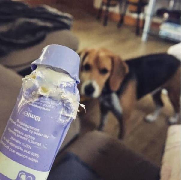 daily picdump 93 pics 34.html - 93 HD Photos | Premium Gallery 2017