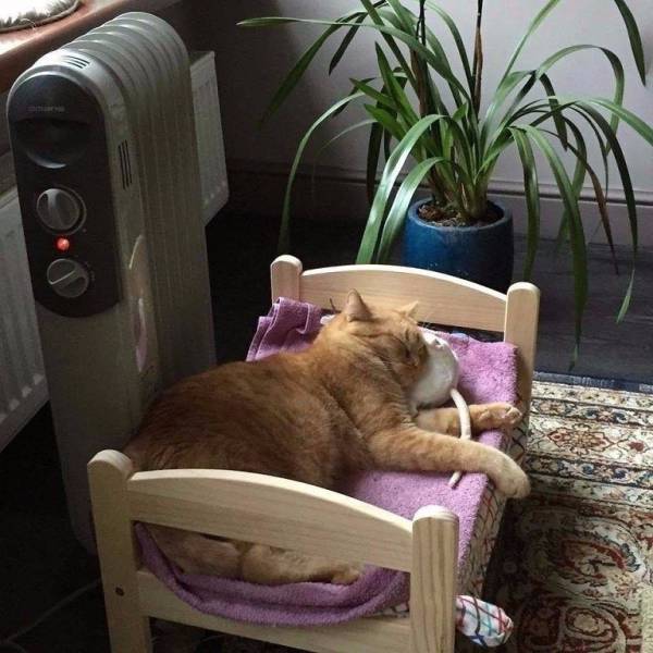 daily picdump 93 pics 34.html - 93 HD Photos | Premium Gallery 2017