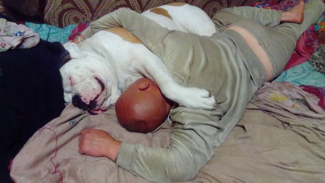 daily picdump 93 pics 34.html - 93 HD Photos | Premium Gallery 2017