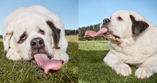 daily picdump 93 pics 34.html - 93 HD Photos | Premium Gallery 2017