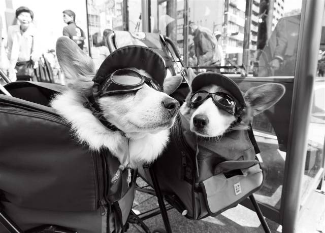 daily picdump 93 pics 34.html - 93 HD Photos | Premium Gallery 2017