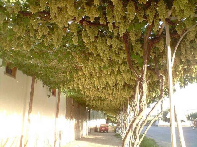 daily picdump 93 pics 34.html - 93 HD Photos | Premium Gallery 2017