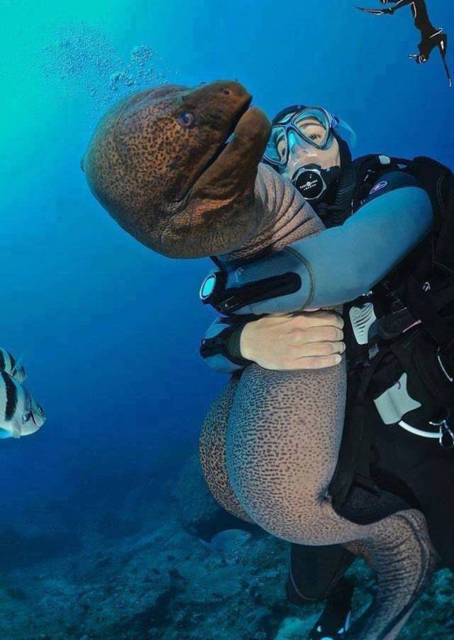 daily picdump 93 pics 34.html - 93 HD Photos | Premium Gallery 2017