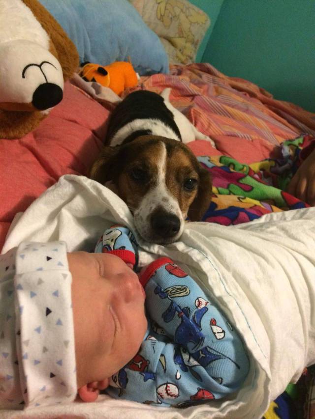 daily picdump 93 pics 34.html - 93 HD Photos | Premium Gallery 2017