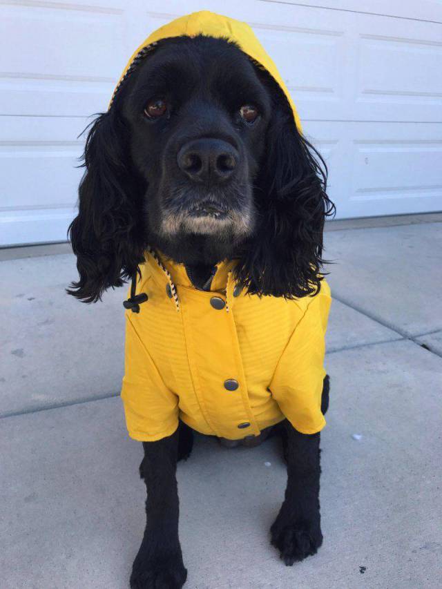 daily picdump 93 pics 34.html - 93 HD Photos | Premium Gallery 2017