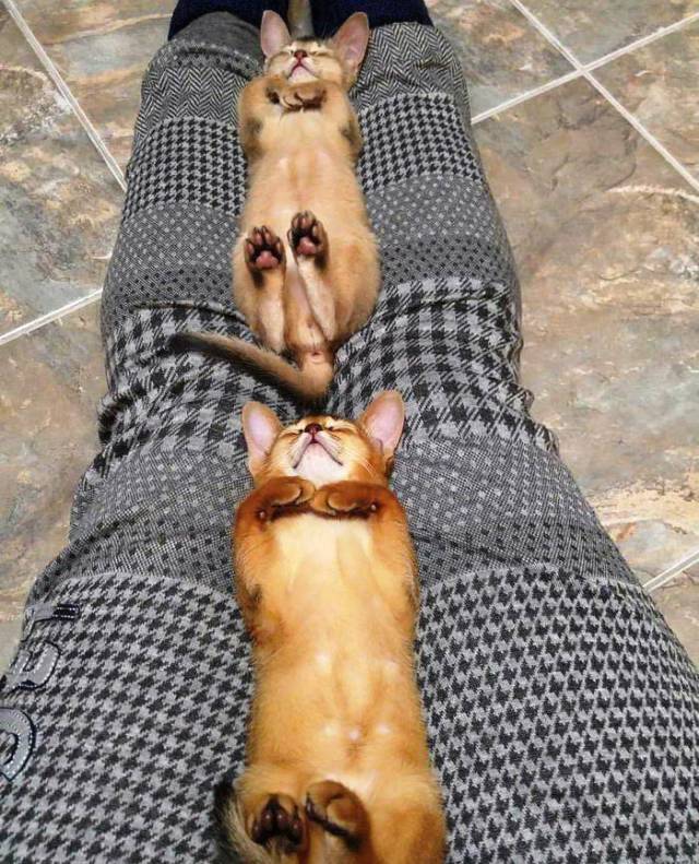 daily picdump 93 pics 34.html - 93 HD Photos | Premium Gallery 2017