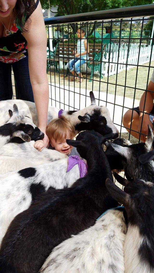 daily picdump 93 pics 34.html - 93 HD Photos | Premium Gallery 2017