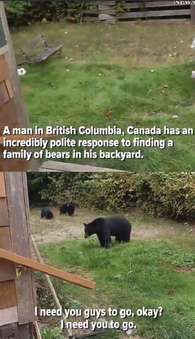 daily picdump 93 pics 34.html - 93 HD Photos | Premium Gallery 2017