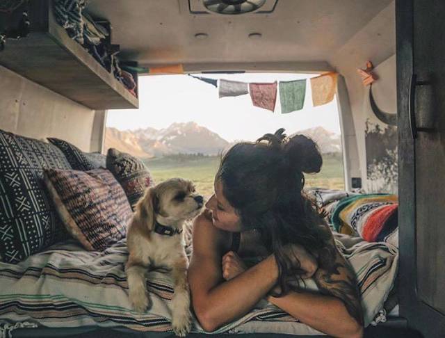 Mobile House Is A Paradise On Wheels