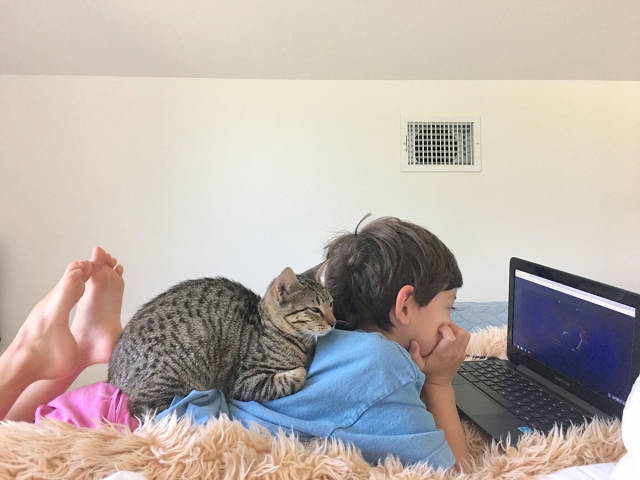 morning picdump 53 pics 13.html - 53 HD Photos | Premium Gallery 2017