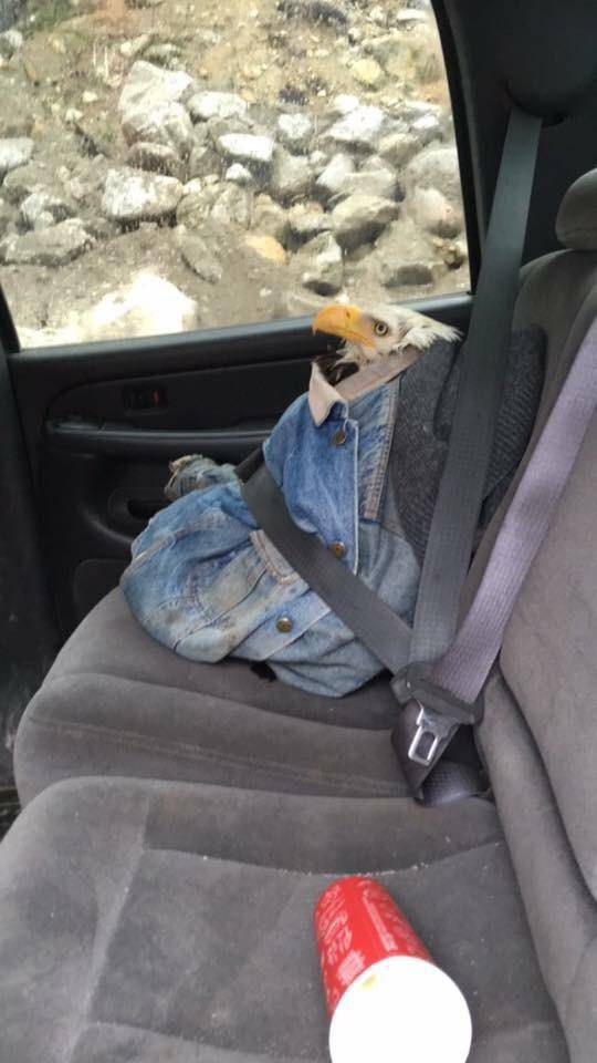 morning picdump 53 pics 13.html - 53 HD Photos | Premium Gallery 2017