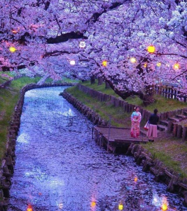 morning picdump 53 pics 13.html - 53 HD Photos | Premium Gallery 2017