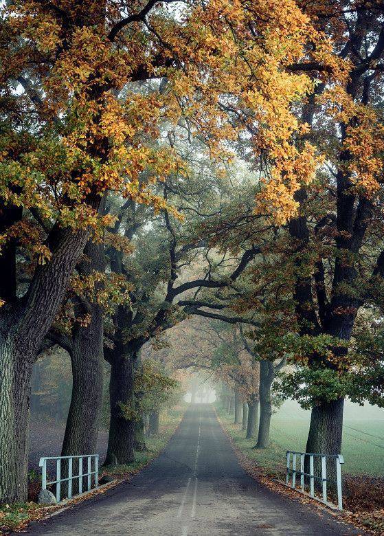 morning picdump 53 pics 13.html - 53 HD Photos | Premium Gallery 2017