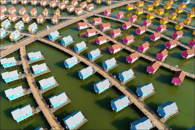 daily picdump 89 pics 24.html - 89 HD Photos | Premium Gallery 2017