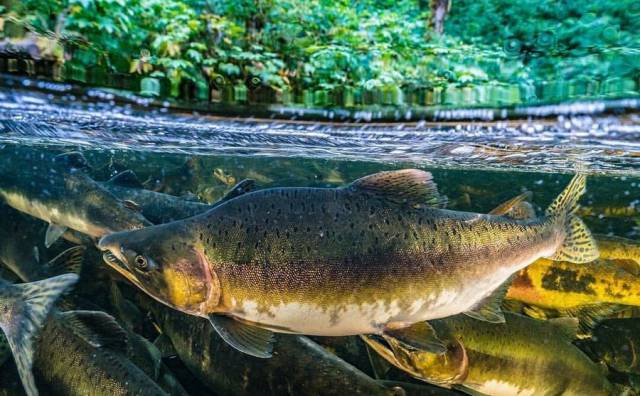 daily picdump 89 pics 24.html - 89 HD Photos | Premium Gallery 2017