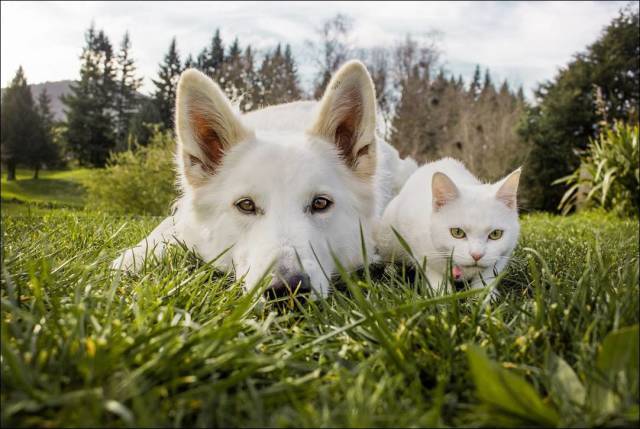 daily picdump 89 pics 24.html - 89 HD Photos | Premium Gallery 2017