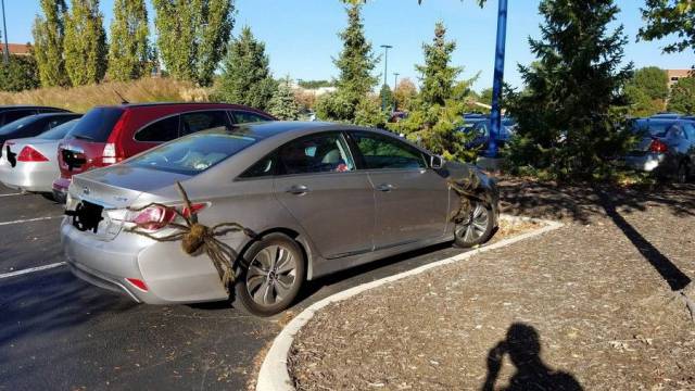 daily picdump 89 pics 24.html - 89 HD Photos | Premium Gallery 2017