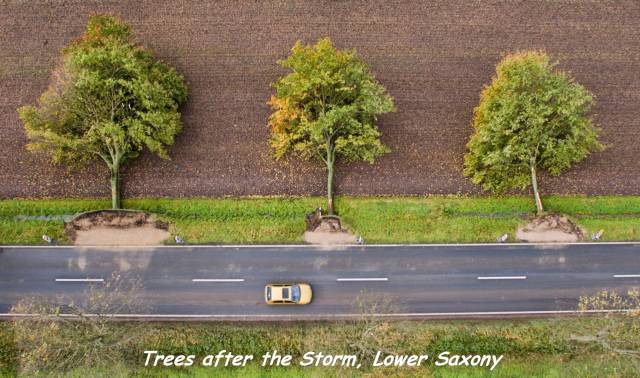 daily picdump 89 pics 24.html - 89 HD Photos | Premium Gallery 2017