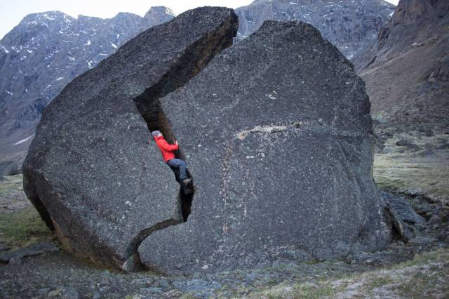 daily picdump 89 pics 24.html - 89 HD Photos | Premium Gallery 2017