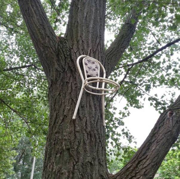 daily picdump 89 pics 24.html - 89 HD Photos | Premium Gallery 2017