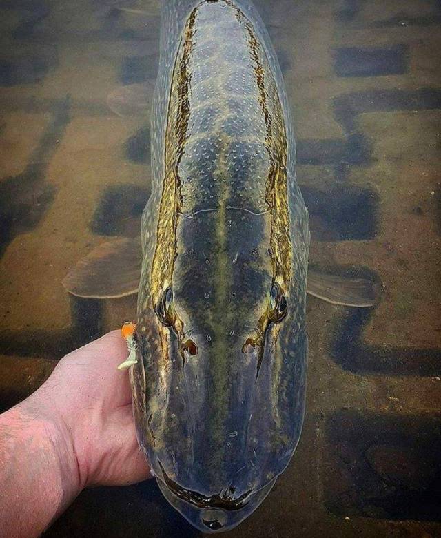 daily picdump 89 pics 24.html - 89 HD Photos | Premium Gallery 2017