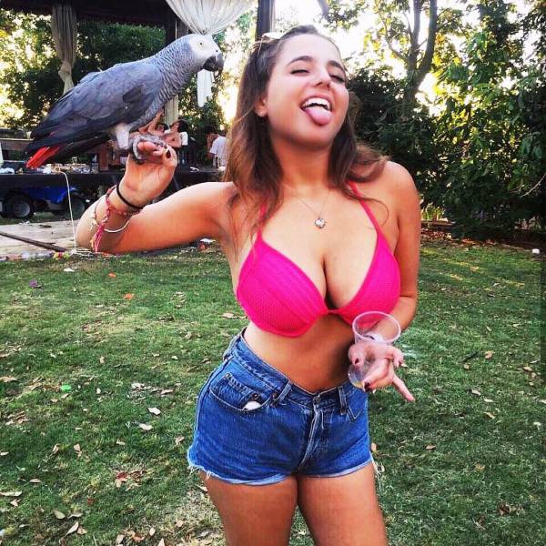 grownup corner 65 pics 13 gifs 14.html - 65 HD GIF | Premium Gallery 2017