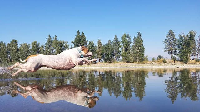 morning picdump 53 pics 5.html - 53 HD Photos | Premium Gallery 2017