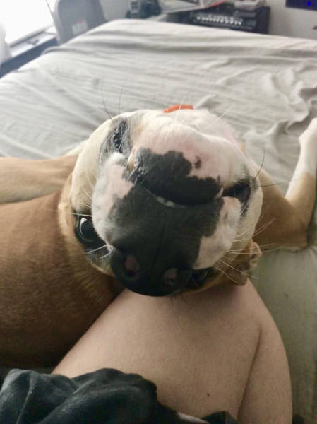 morning picdump 53 pics 5.html - 53 HD Photos | Premium Gallery 2017