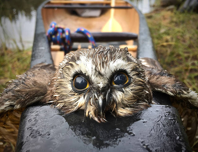 morning picdump 53 pics 5.html - 53 HD Photos | Premium Gallery 2017