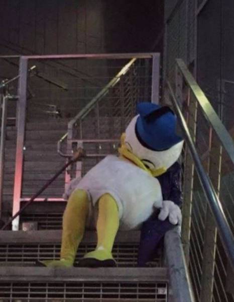 Daily Picdump [WEEKEND EDITION]