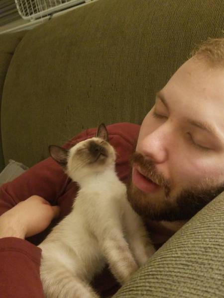 daily picdump weekend edition 54 pics 24.html - 54 HD Photos | Premium Gallery 2017