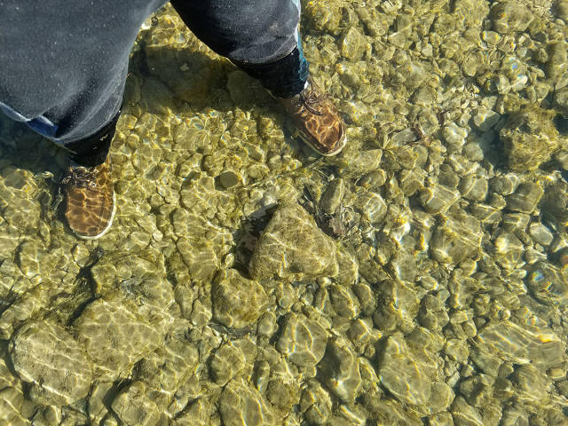 daily picdump weekend edition 54 pics 24.html - 54 HD Photos | Premium Gallery 2017