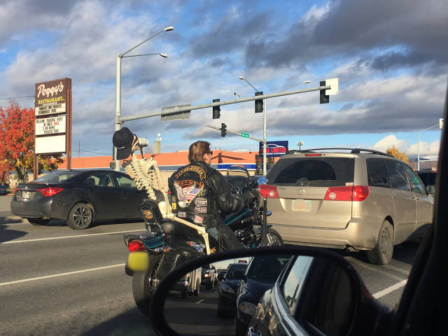 daily picdump weekend edition 54 pics 24.html - 54 HD Photos | Premium Gallery 2017