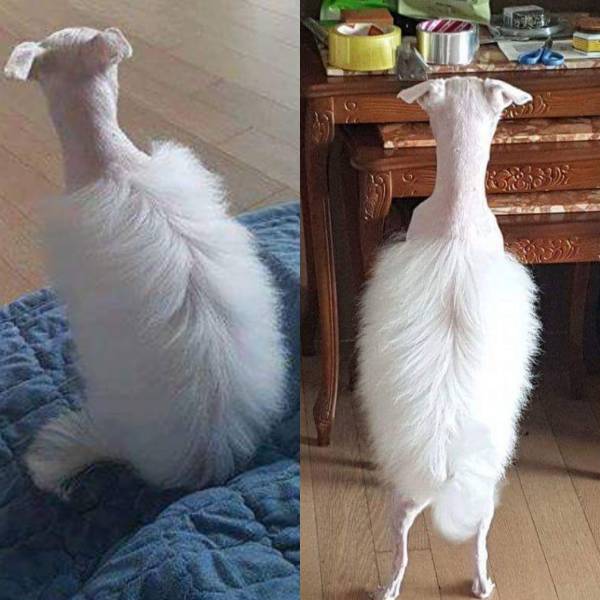 daily picdump weekend edition 54 pics 24.html - 54 HD Photos | Premium Gallery 2017