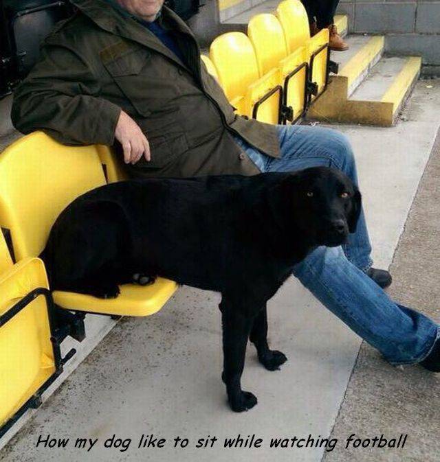 daily picdump 102 pics 47.html - 102 HD Photos | Premium Gallery 2017