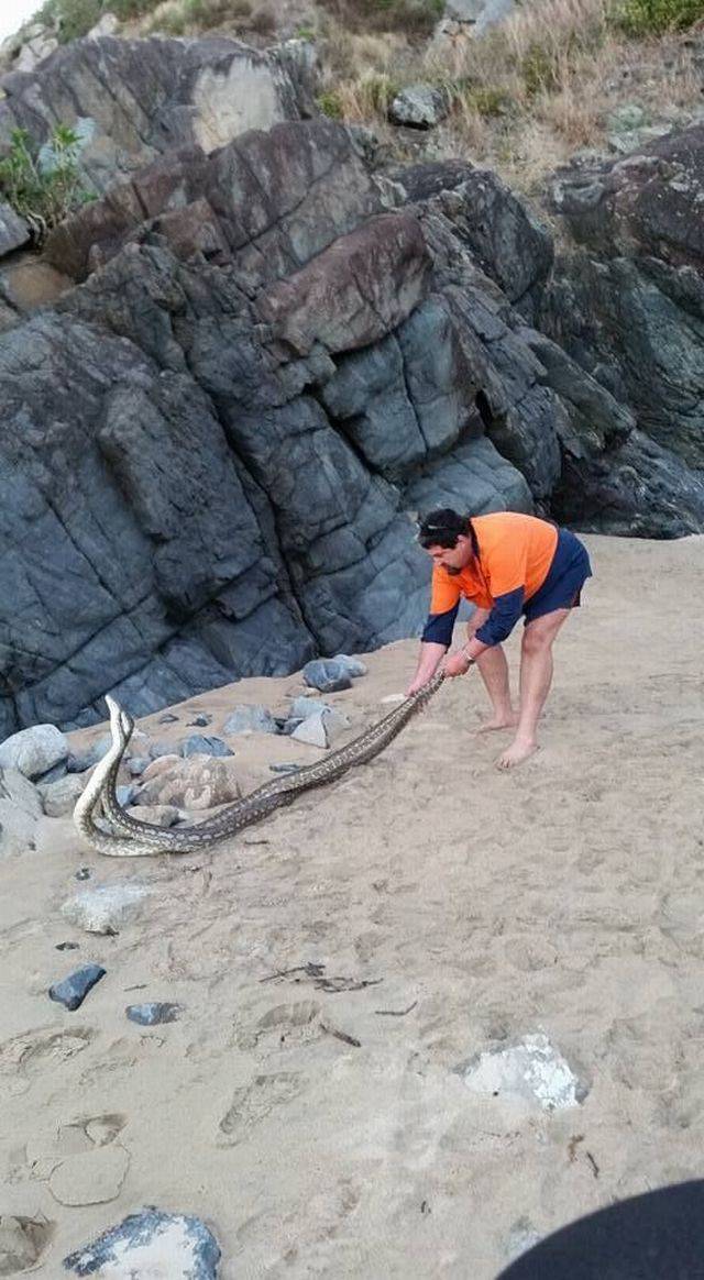 daily picdump 102 pics 47.html - 102 HD Photos | Premium Gallery 2017