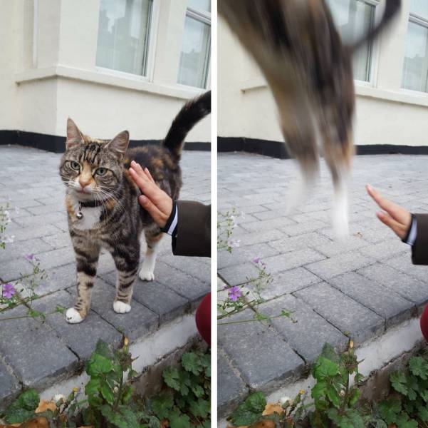 Daily Picdump