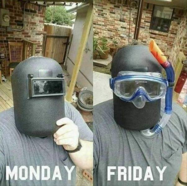 Daily Picdump