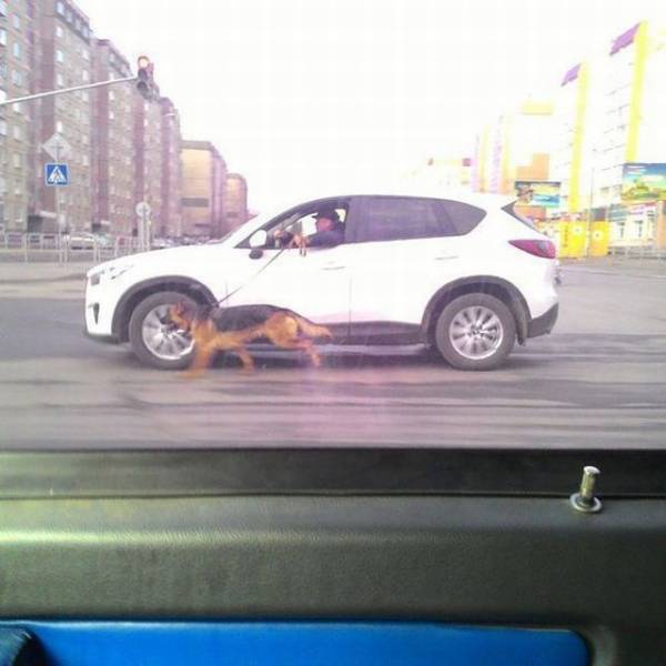 Daily Picdump