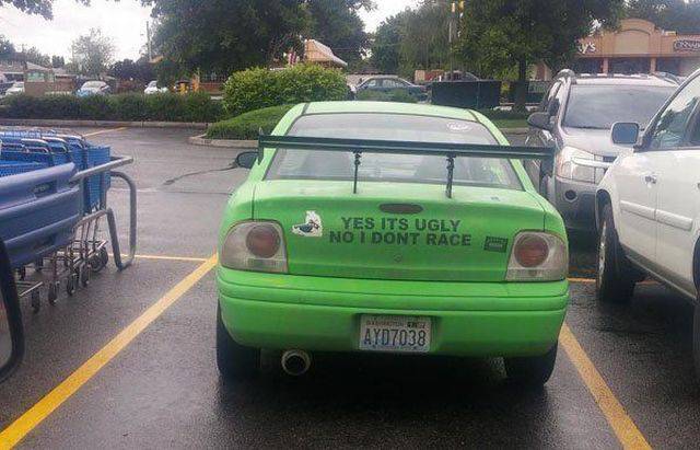Daily Picdump