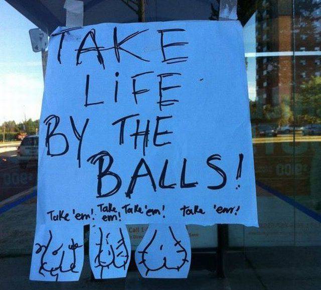 daily picdump 104 pics 1.html - 104 HD Photos | Premium Gallery 2017