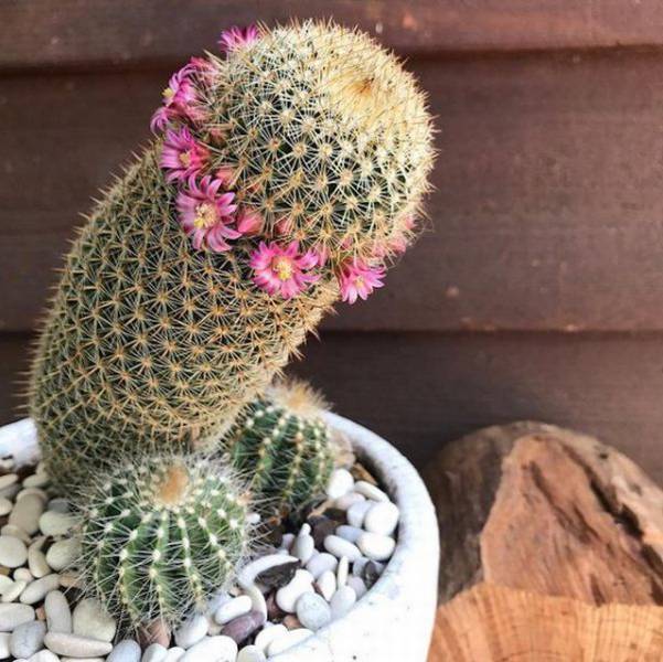 daily picdump 104 pics 1.html - 104 HD Photos | Premium Gallery 2017