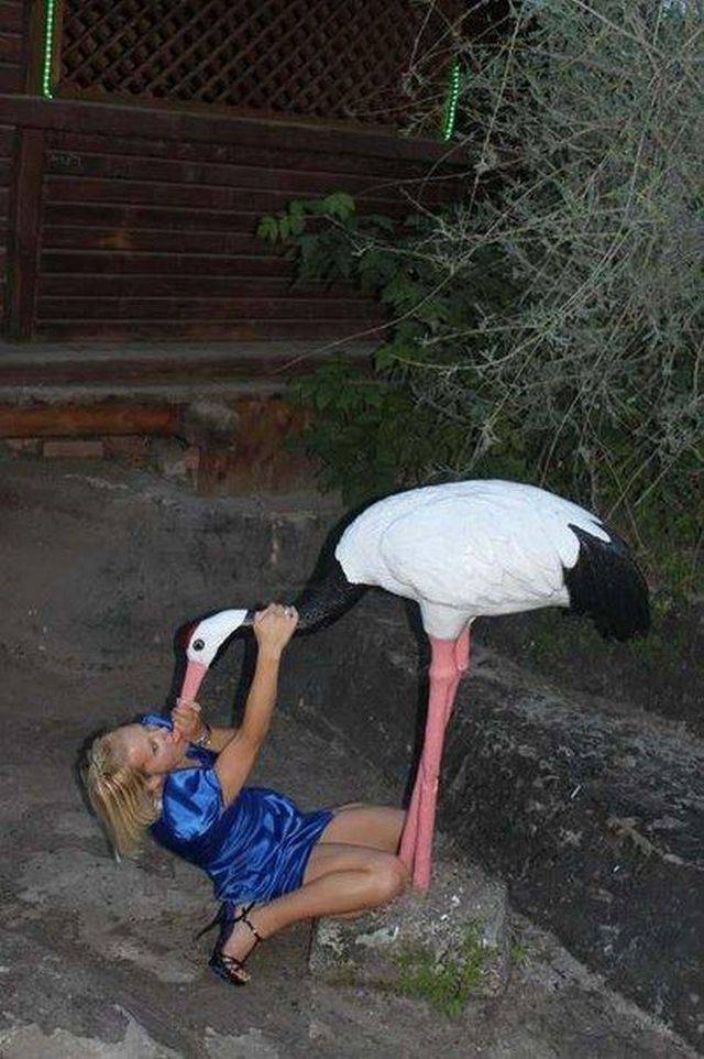 Daily Picdump