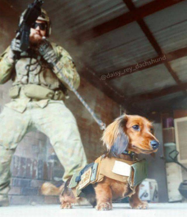 Daily Picdump