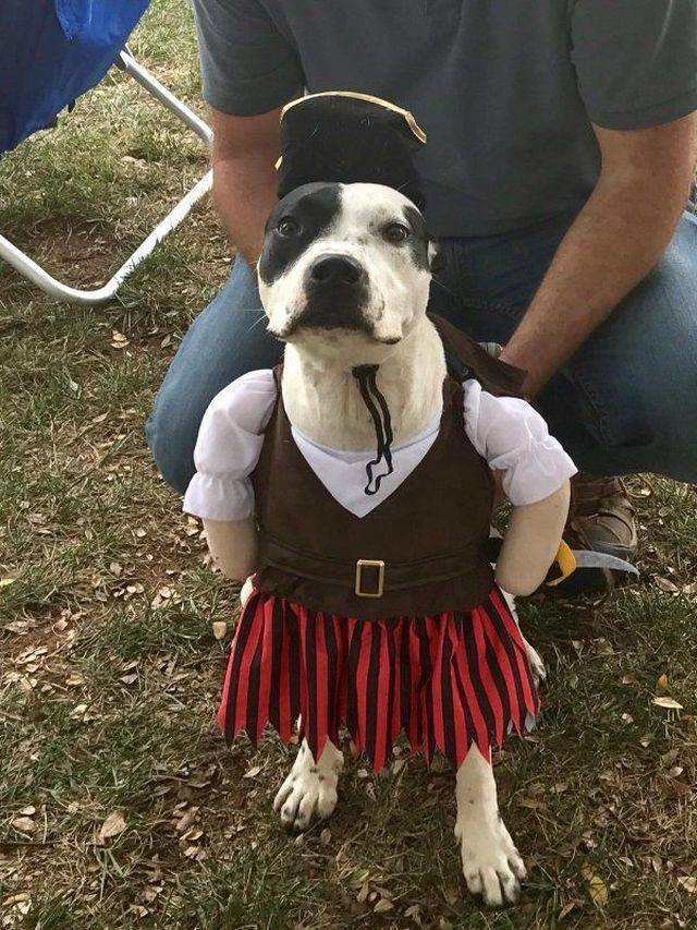 daily picdump 104 pics 1.html - 104 HD Photos | Premium Gallery 2017