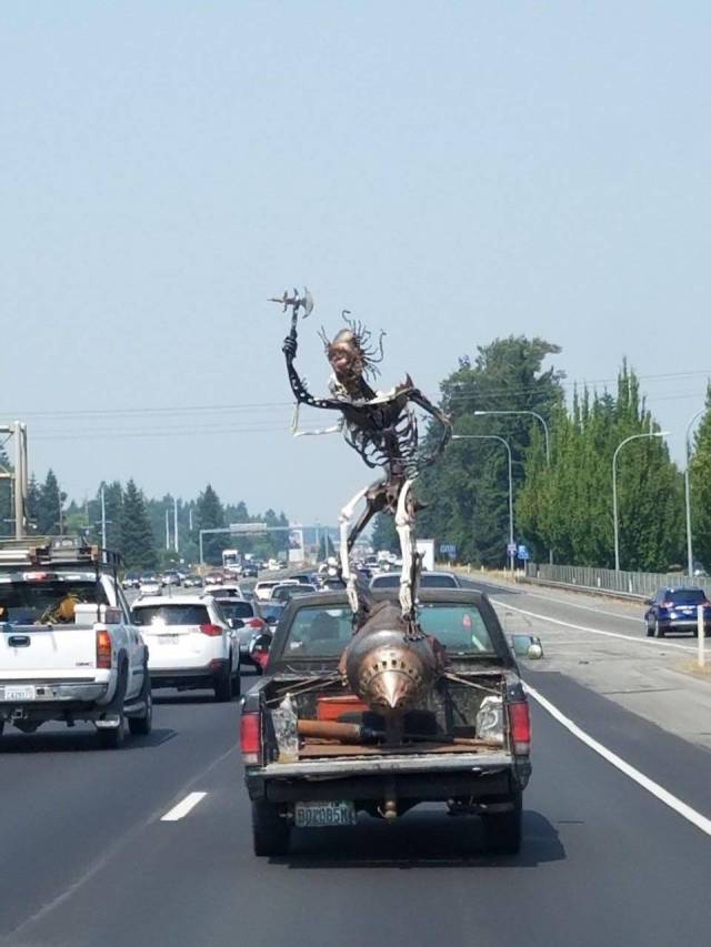 Daily Picdump