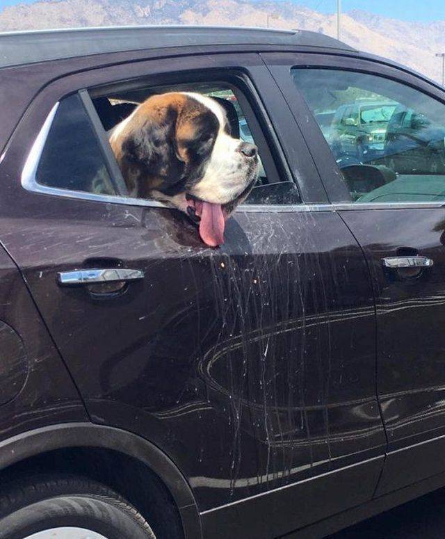Daily Picdump