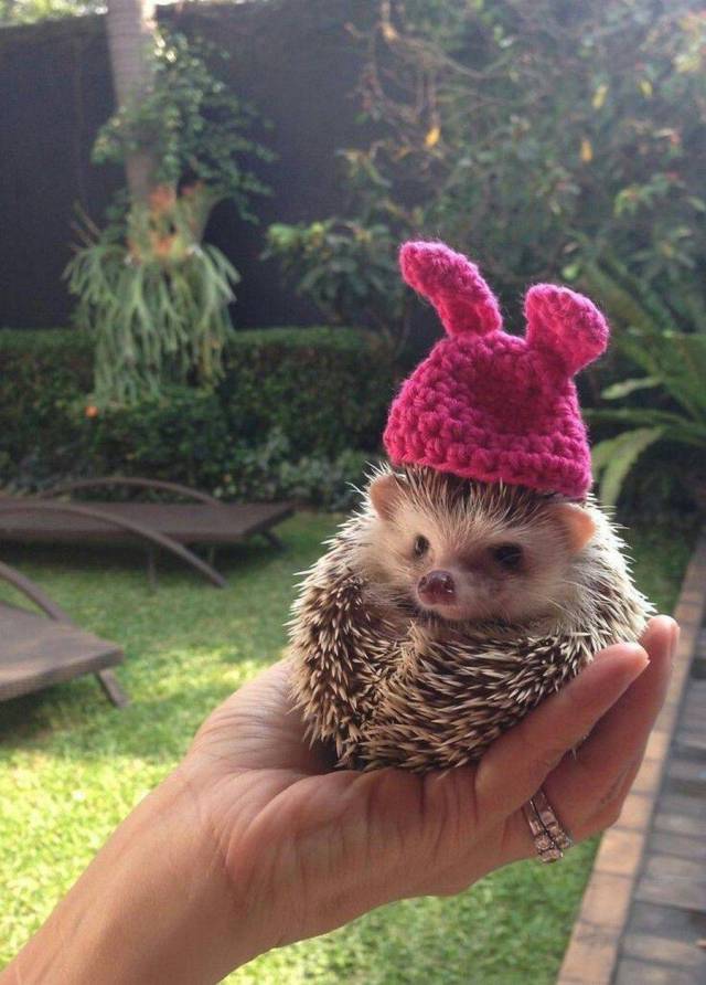 Daily Picdump