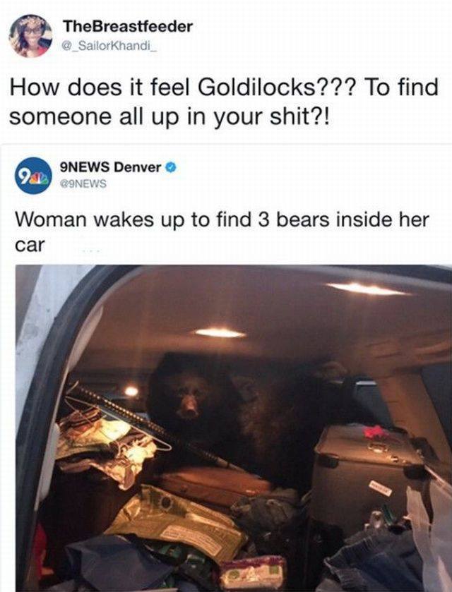 Daily Picdump